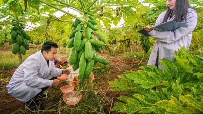 酶制劑公司排名：哪個(gè)廠家在食品、飼料、工業(yè)領(lǐng)域拔得頭籌