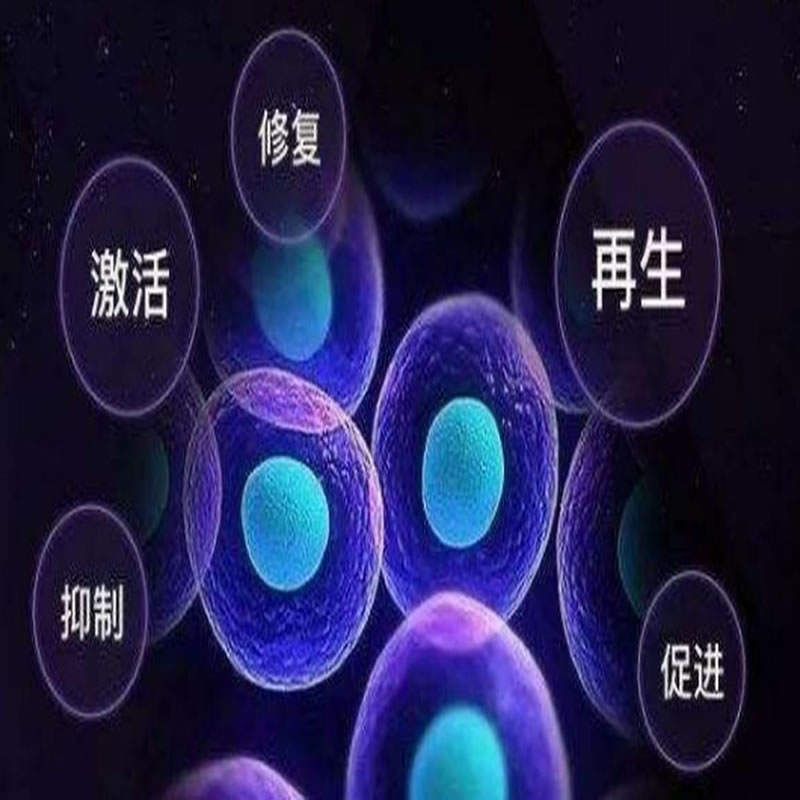 生物活性肽